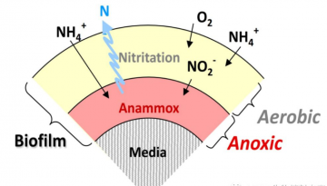 MBBR生物填料掛膜會受什么影響？